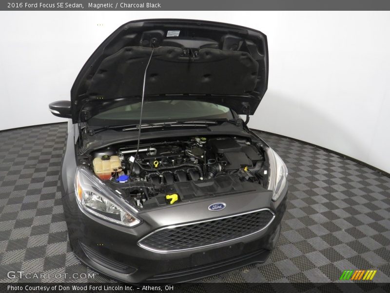 Magnetic / Charcoal Black 2016 Ford Focus SE Sedan
