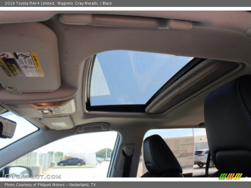 Magnetic Gray Metallic / Black 2019 Toyota RAV4 Limited