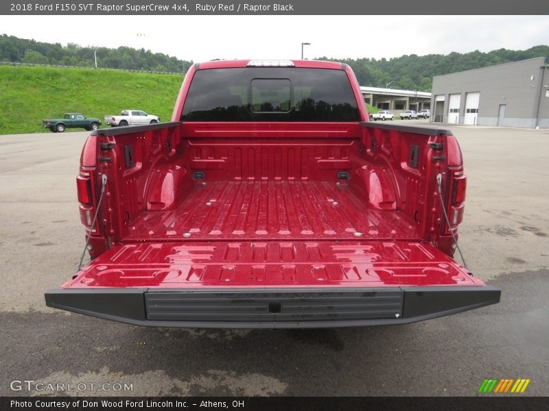Ruby Red / Raptor Black 2018 Ford F150 SVT Raptor SuperCrew 4x4