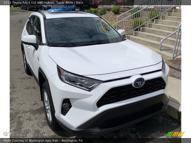 Super White / Black 2019 Toyota RAV4 XLE AWD Hybrid