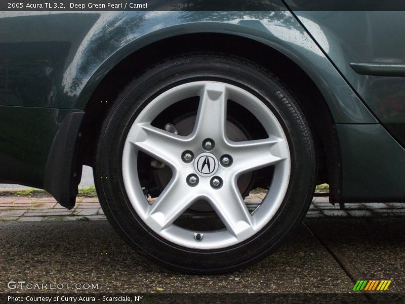 Deep Green Pearl / Camel 2005 Acura TL 3.2