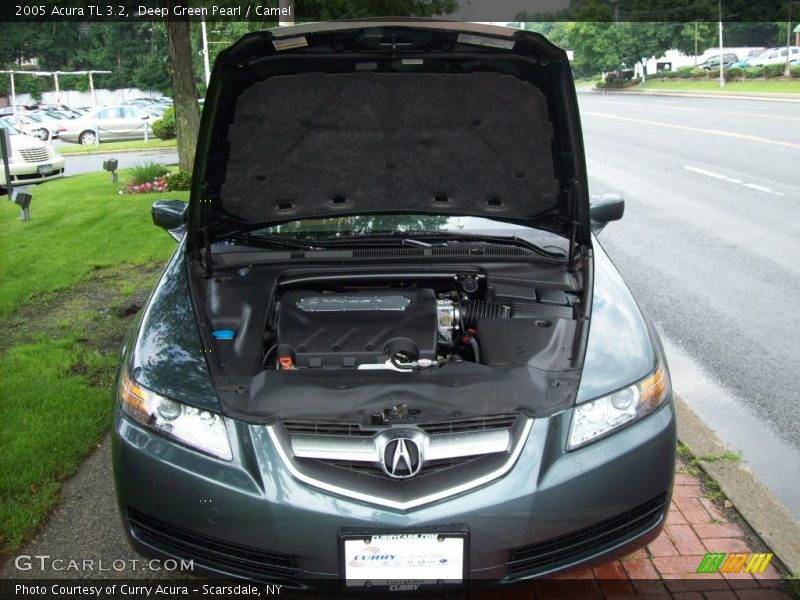 Deep Green Pearl / Camel 2005 Acura TL 3.2