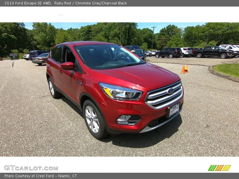 Ruby Red / Chromite Gray/Charcoal Black 2019 Ford Escape SE 4WD