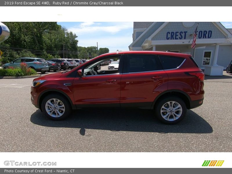 Ruby Red / Chromite Gray/Charcoal Black 2019 Ford Escape SE 4WD