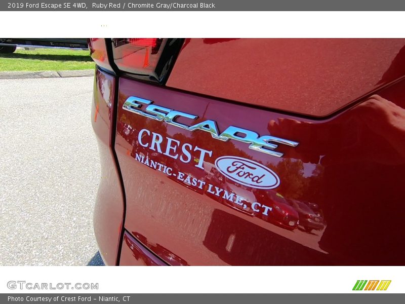 Ruby Red / Chromite Gray/Charcoal Black 2019 Ford Escape SE 4WD