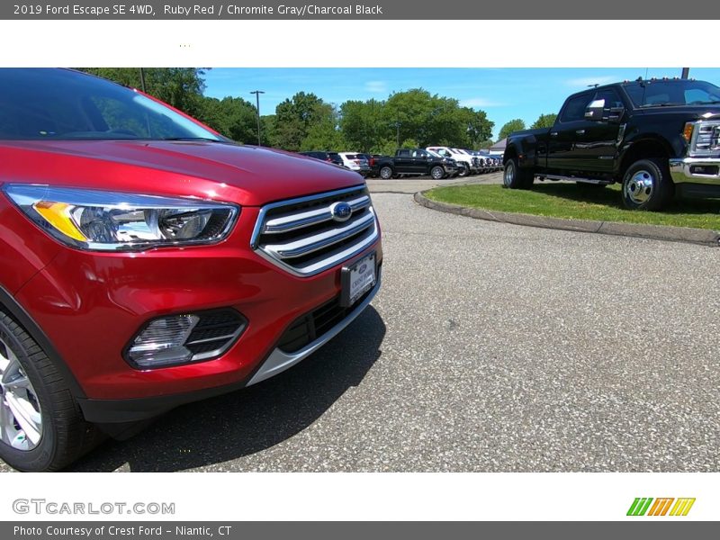 Ruby Red / Chromite Gray/Charcoal Black 2019 Ford Escape SE 4WD