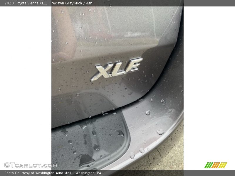 Predawn Gray Mica / Ash 2020 Toyota Sienna XLE