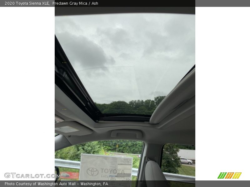 Predawn Gray Mica / Ash 2020 Toyota Sienna XLE