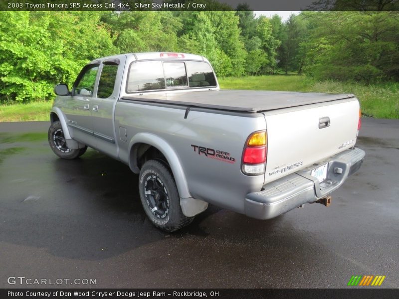 Silver Sky Metallic / Gray 2003 Toyota Tundra SR5 Access Cab 4x4