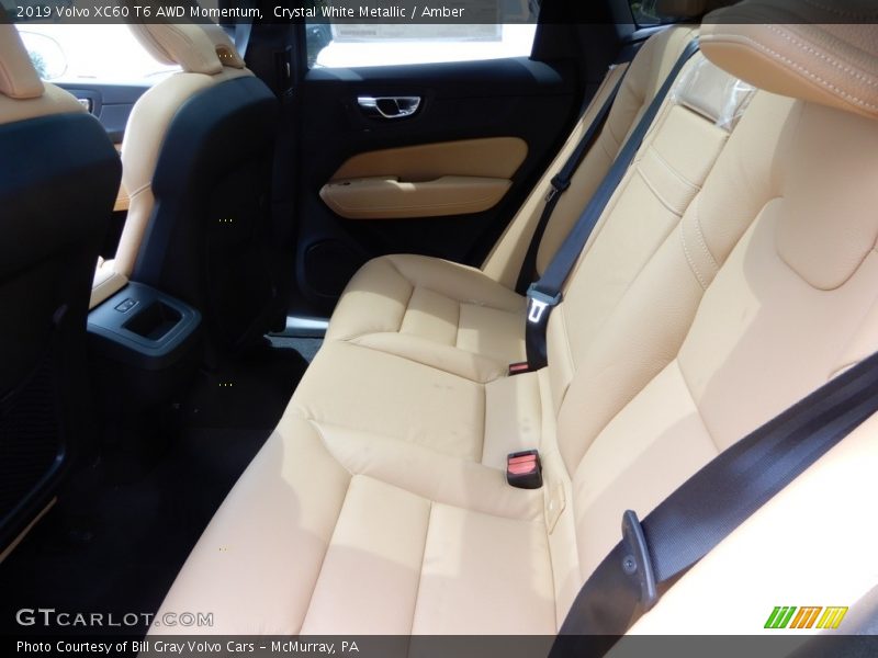 Rear Seat of 2019 XC60 T6 AWD Momentum
