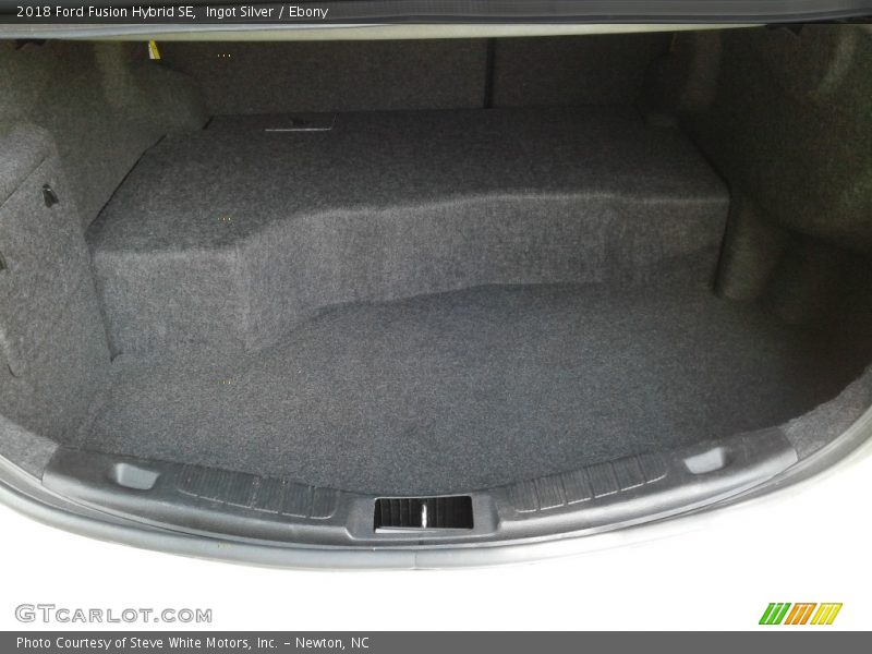 Ingot Silver / Ebony 2018 Ford Fusion Hybrid SE