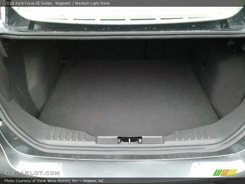 Magnetic / Medium Light Stone 2018 Ford Focus SE Sedan