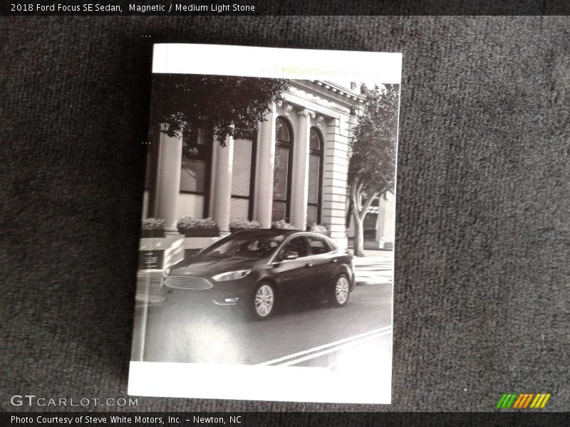 Magnetic / Medium Light Stone 2018 Ford Focus SE Sedan