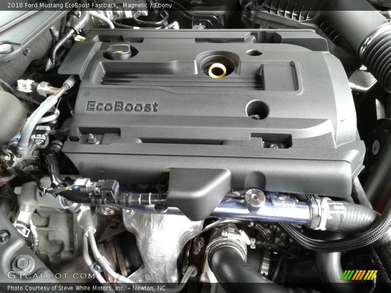 Magnetic / Ebony 2018 Ford Mustang EcoBoost Fastback