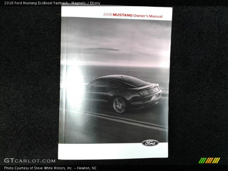 Magnetic / Ebony 2018 Ford Mustang EcoBoost Fastback