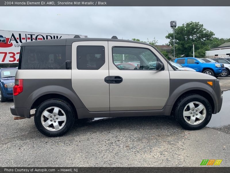 Shoreline Mist Metallic / Black 2004 Honda Element EX AWD