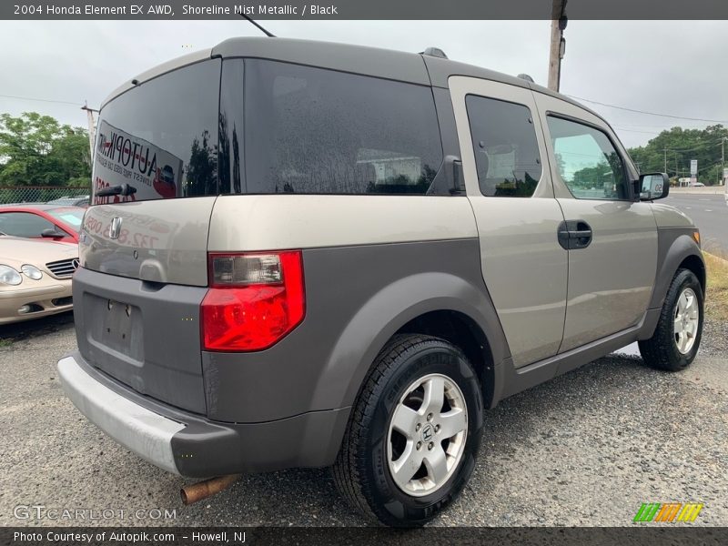 Shoreline Mist Metallic / Black 2004 Honda Element EX AWD