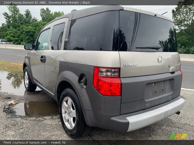 Shoreline Mist Metallic / Black 2004 Honda Element EX AWD