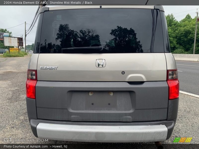 Shoreline Mist Metallic / Black 2004 Honda Element EX AWD