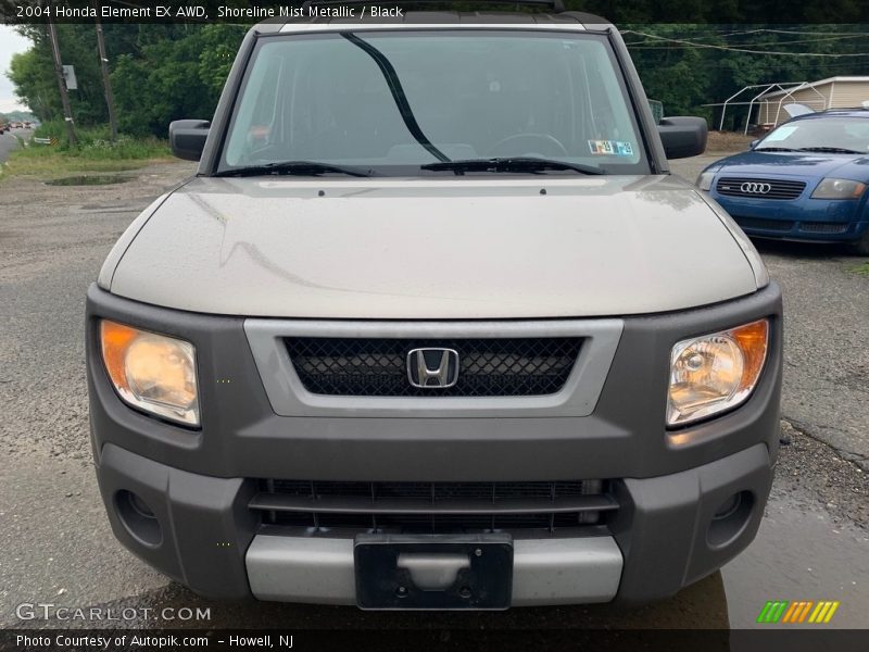 Shoreline Mist Metallic / Black 2004 Honda Element EX AWD