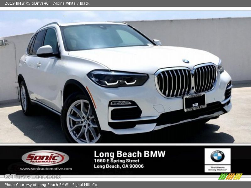 Alpine White / Black 2019 BMW X5 xDrive40i