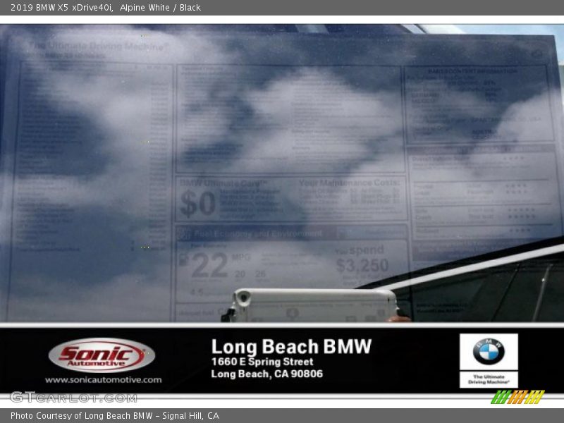 Alpine White / Black 2019 BMW X5 xDrive40i