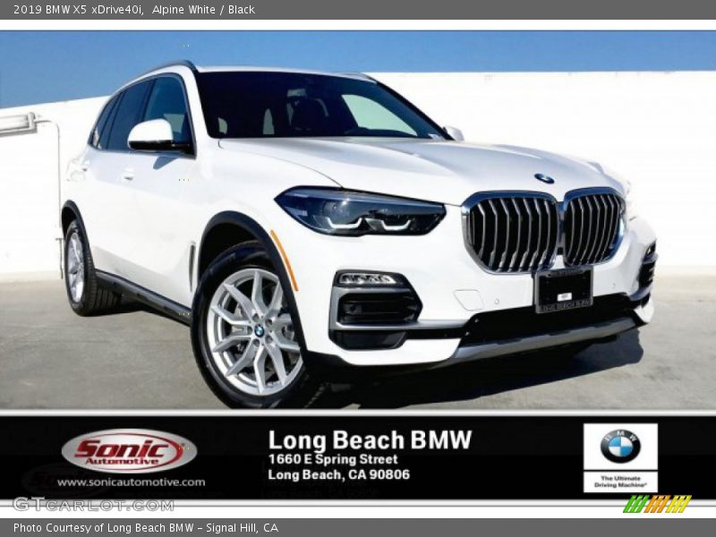 Alpine White / Black 2019 BMW X5 xDrive40i