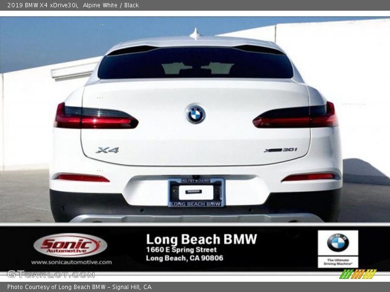 Alpine White / Black 2019 BMW X4 xDrive30i