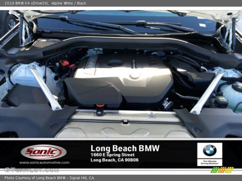 Alpine White / Black 2019 BMW X4 xDrive30i