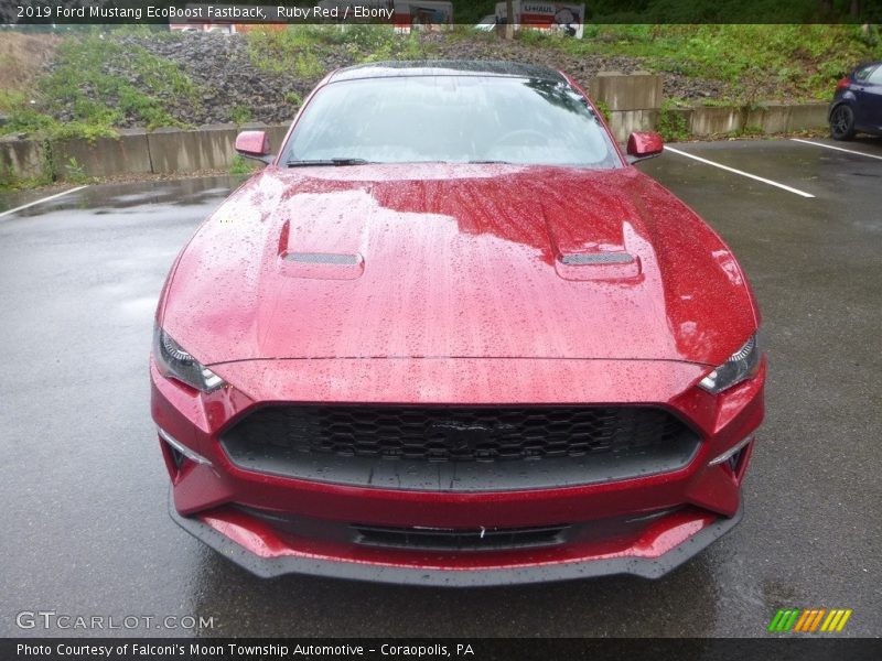 Ruby Red / Ebony 2019 Ford Mustang EcoBoost Fastback