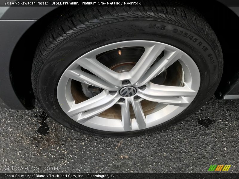 Platinum Gray Metallic / Moonrock 2014 Volkswagen Passat TDI SEL Premium