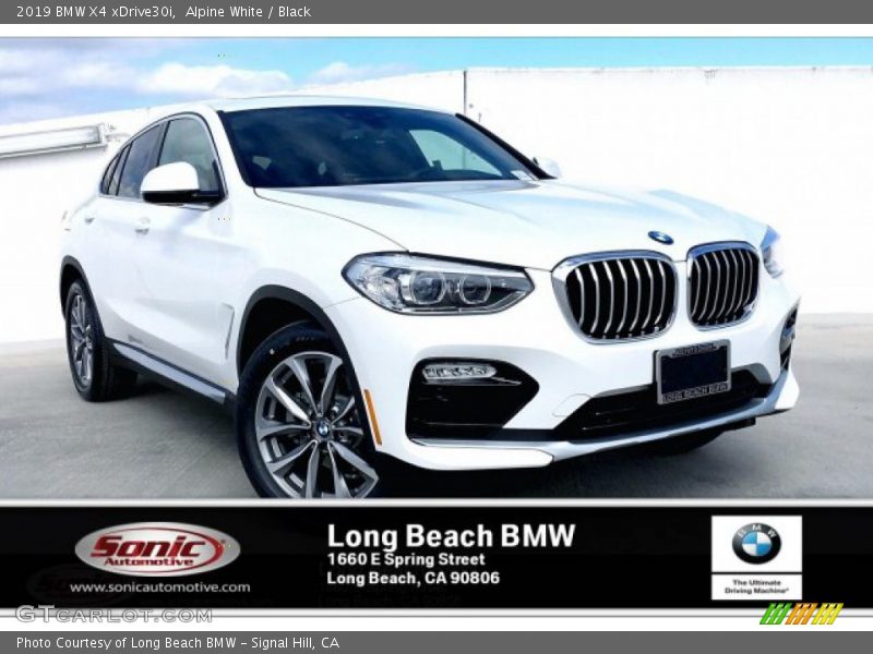 Alpine White / Black 2019 BMW X4 xDrive30i