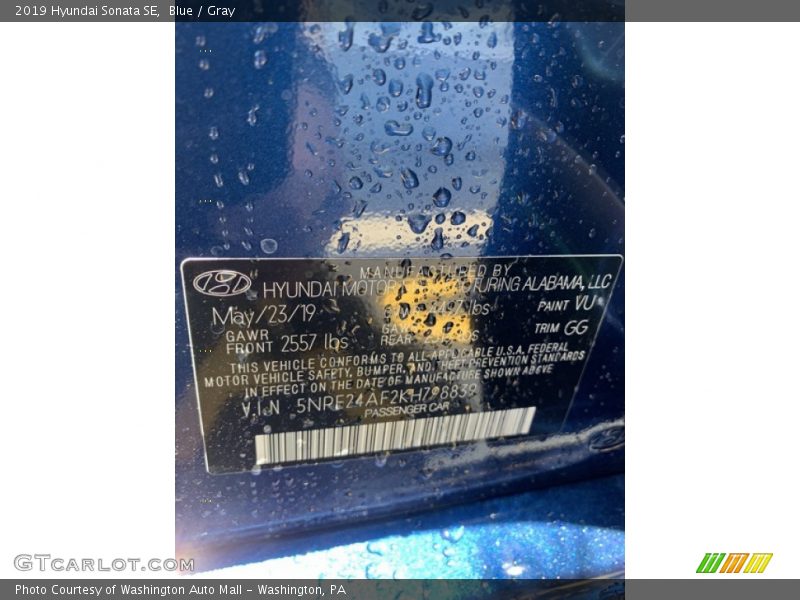 Blue / Gray 2019 Hyundai Sonata SE