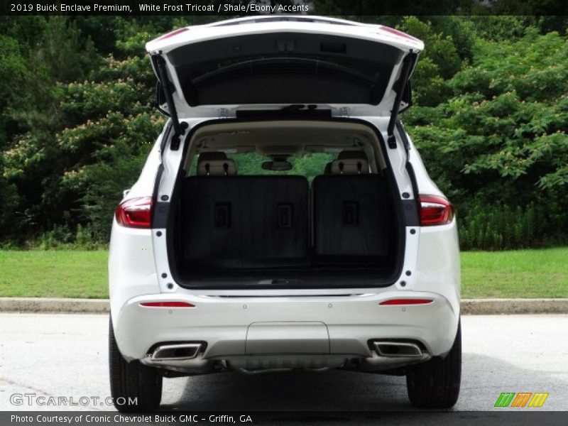 White Frost Tricoat / Shale/Ebony Accents 2019 Buick Enclave Premium