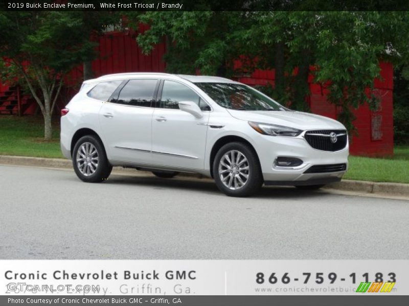 White Frost Tricoat / Brandy 2019 Buick Enclave Premium