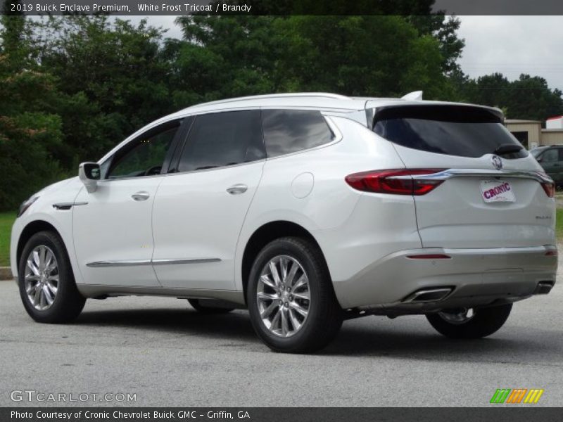 White Frost Tricoat / Brandy 2019 Buick Enclave Premium