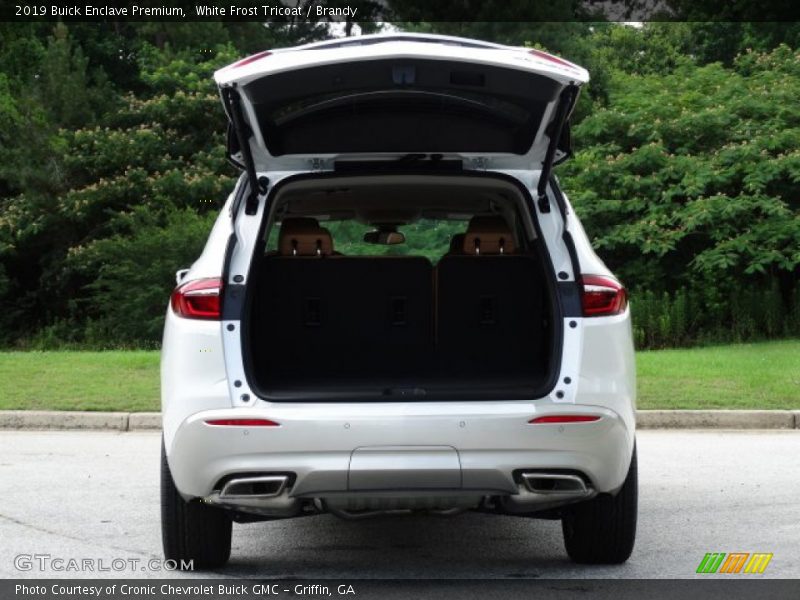 White Frost Tricoat / Brandy 2019 Buick Enclave Premium