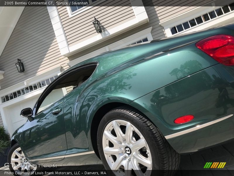 Spruce / Savannah 2005 Bentley Continental GT