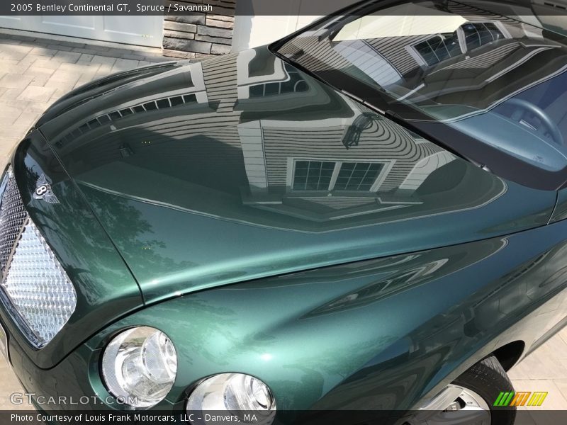 Spruce / Savannah 2005 Bentley Continental GT