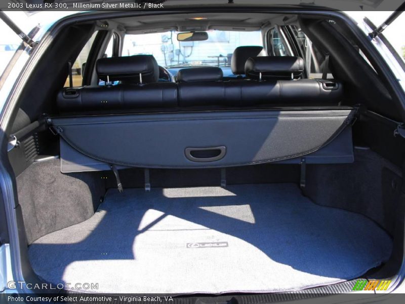 Millenium Silver Metallic / Black 2003 Lexus RX 300