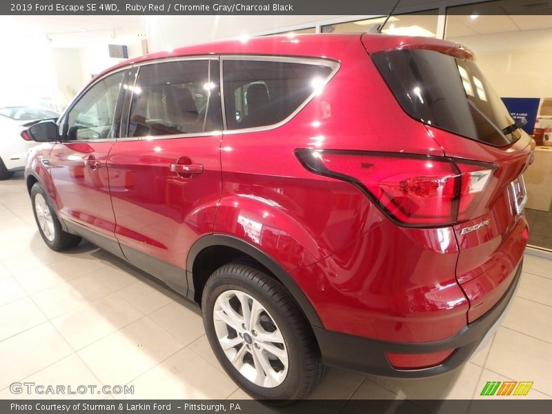 Ruby Red / Chromite Gray/Charcoal Black 2019 Ford Escape SE 4WD