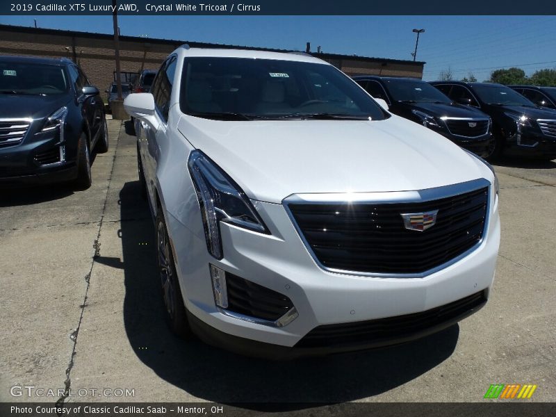 Crystal White Tricoat / Cirrus 2019 Cadillac XT5 Luxury AWD