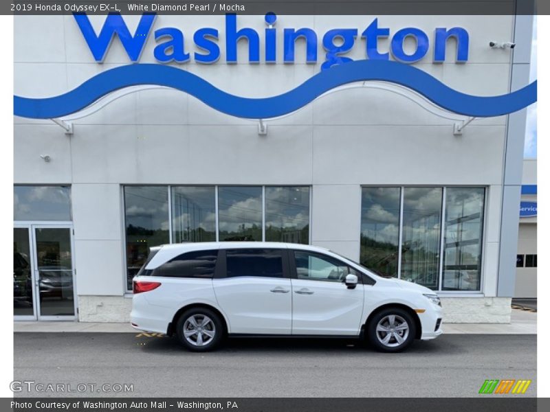 White Diamond Pearl / Mocha 2019 Honda Odyssey EX-L