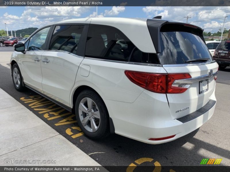 White Diamond Pearl / Mocha 2019 Honda Odyssey EX-L