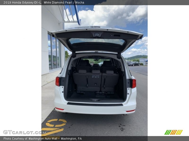 White Diamond Pearl / Mocha 2019 Honda Odyssey EX-L