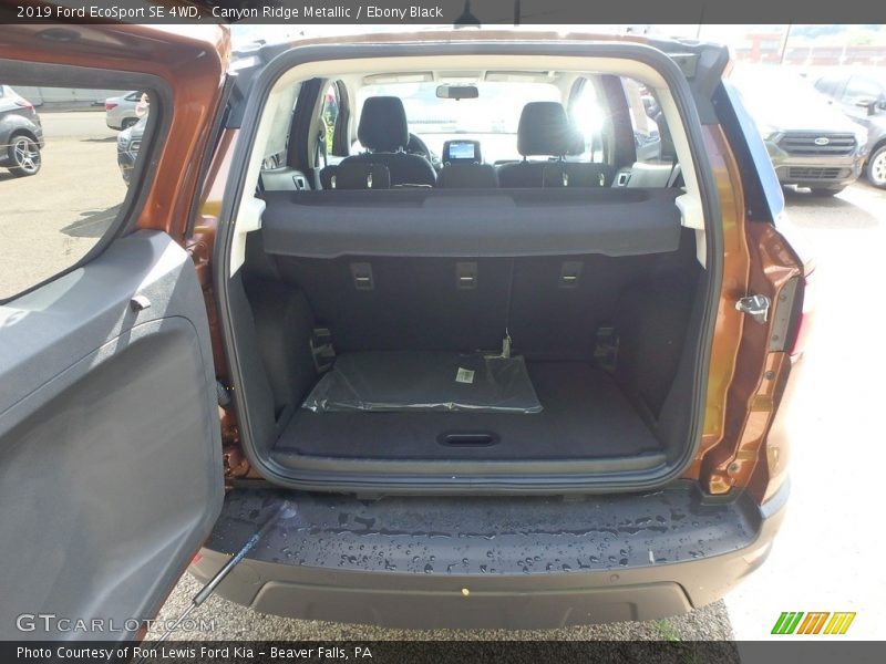 Canyon Ridge Metallic / Ebony Black 2019 Ford EcoSport SE 4WD