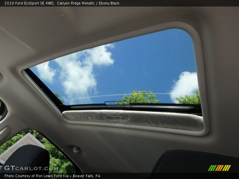 Canyon Ridge Metallic / Ebony Black 2019 Ford EcoSport SE 4WD