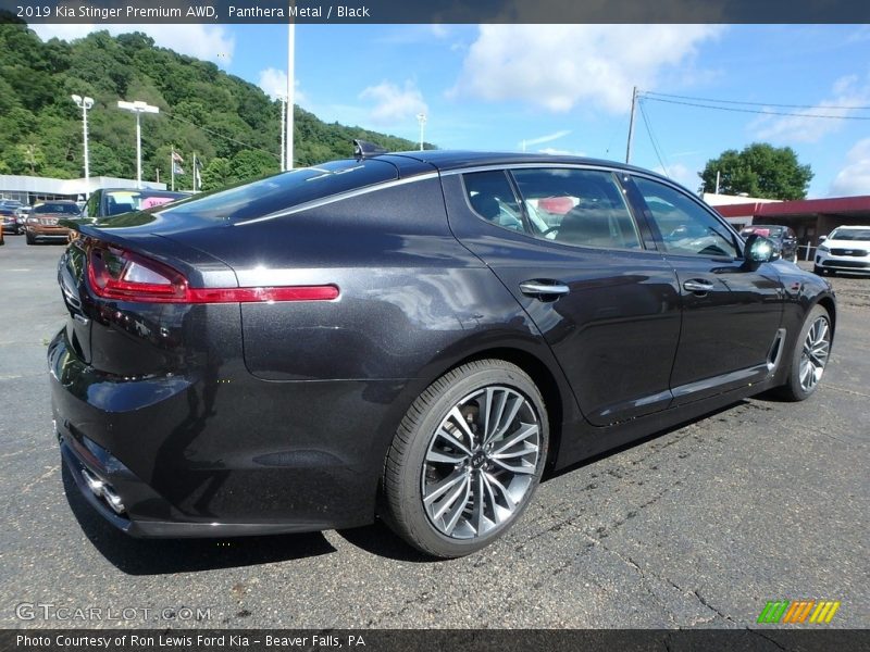 Panthera Metal / Black 2019 Kia Stinger Premium AWD