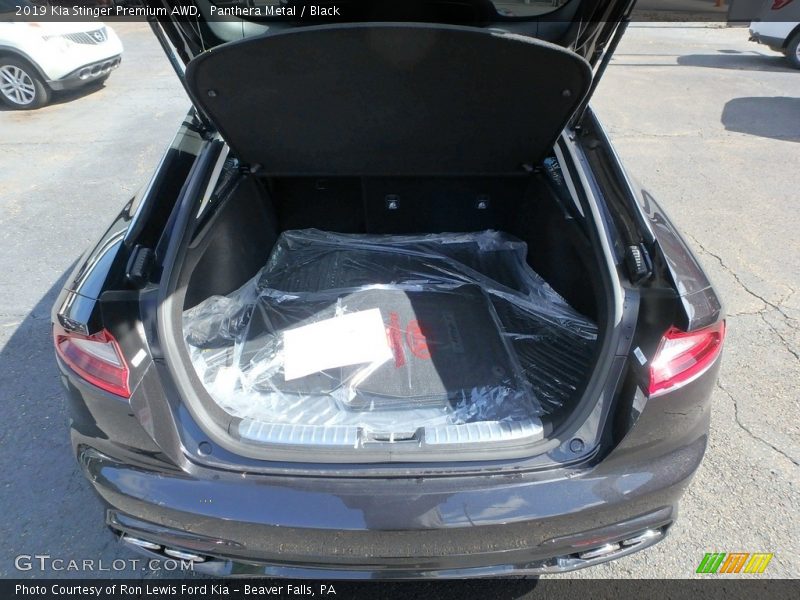 Panthera Metal / Black 2019 Kia Stinger Premium AWD