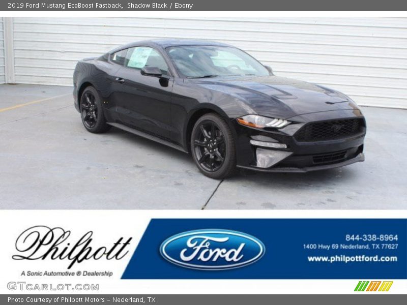 Shadow Black / Ebony 2019 Ford Mustang EcoBoost Fastback
